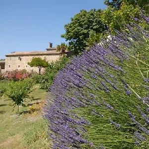  Frühstückspension Domaine De Cousignac Frankreich